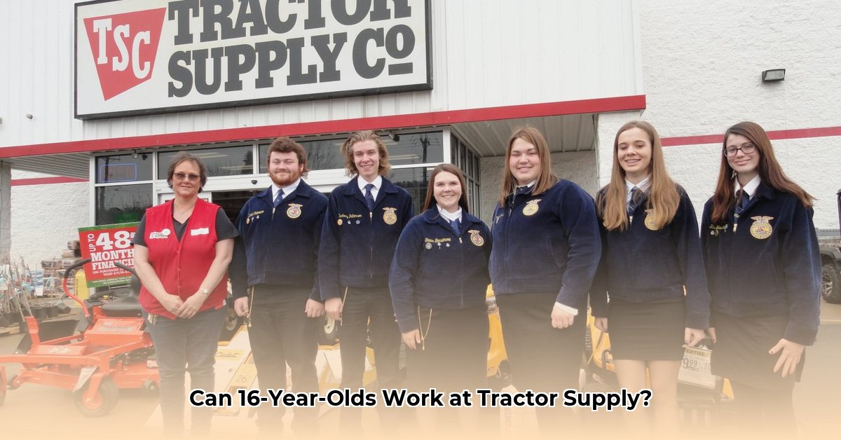 does-tractor-supply-hire-at-16